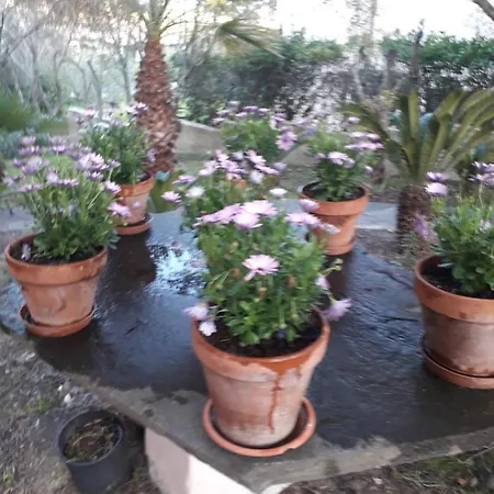 Panzió Nuraghes Olbia