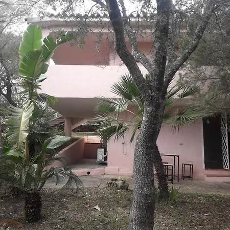 Bed and breakfast Nuraghes
